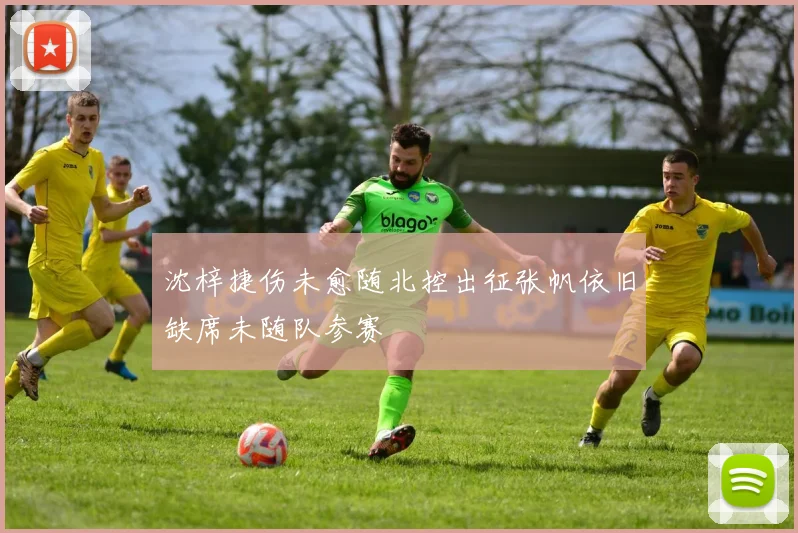 沈梓捷伤未愈随北控出征张帆依旧缺席未随队参赛