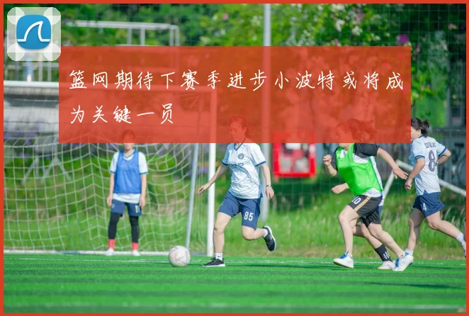 篮网期待下赛季进步小波特或将成为关键一员